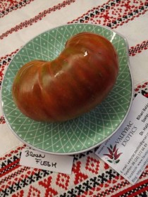 Brown flesh paradicsom - Paradicsom különlegességek az Egzotikus Növények Stúdiója kínálatából